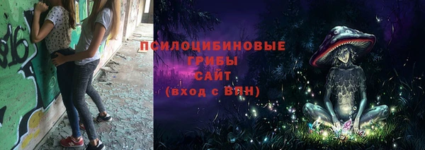 ECSTASY Михайловск