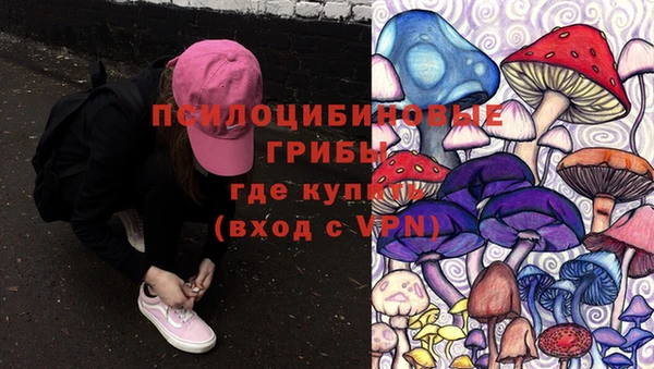 ALPHA PVP Михайловка